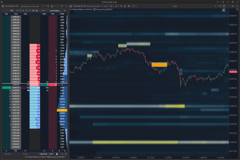 SmartDOM+and+Depth+of+Market+(Heatmap) (1)